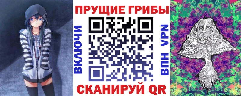как найти закладки  Солигалич  Галлюциногенные грибы прущие грибы 